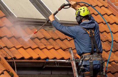 Démoussage et hydrofuge de toiture à Saint-Just-en-Bas